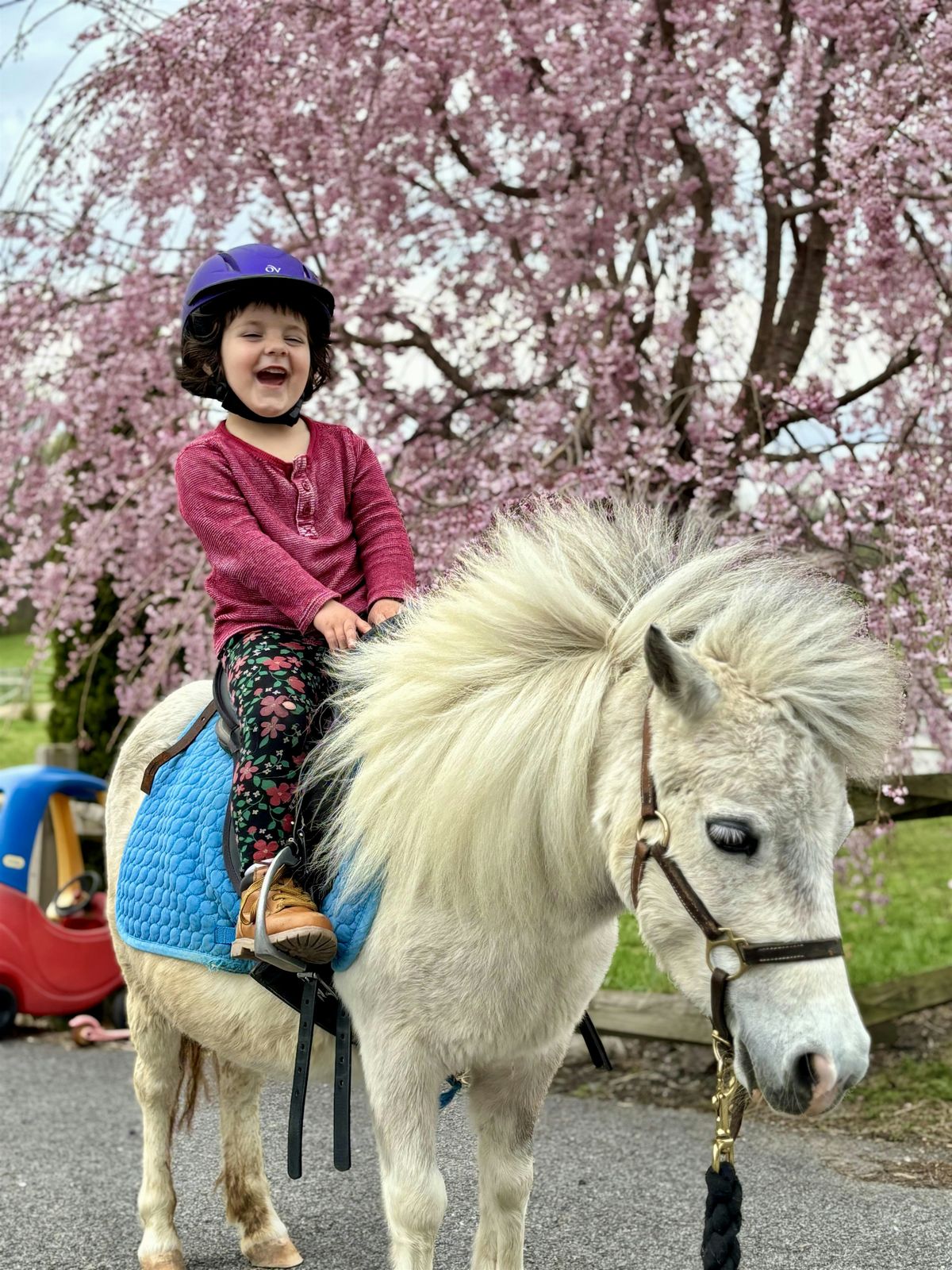 Pony Preschool Trail Ride Adventure (age 4-7), 14 June | Event in Washington Boro | AllEvents