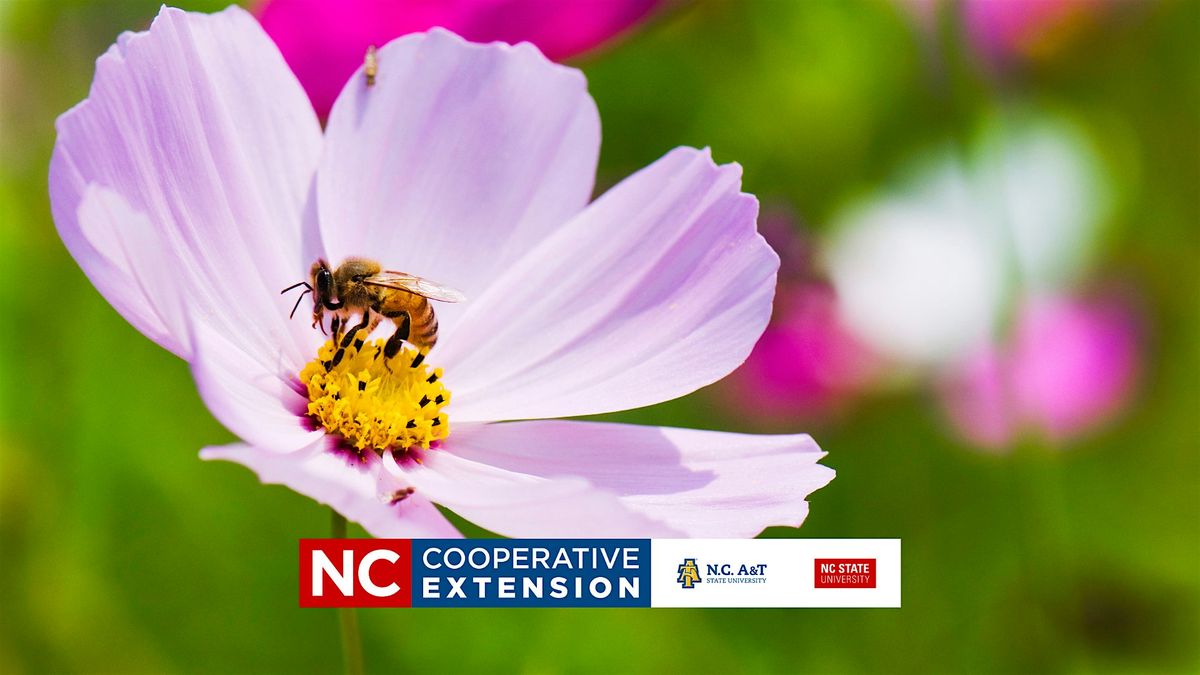 Beginning Beekeepers Course - Honey -  Week 3, 29 September | Event in Fayetteville | AllEvents