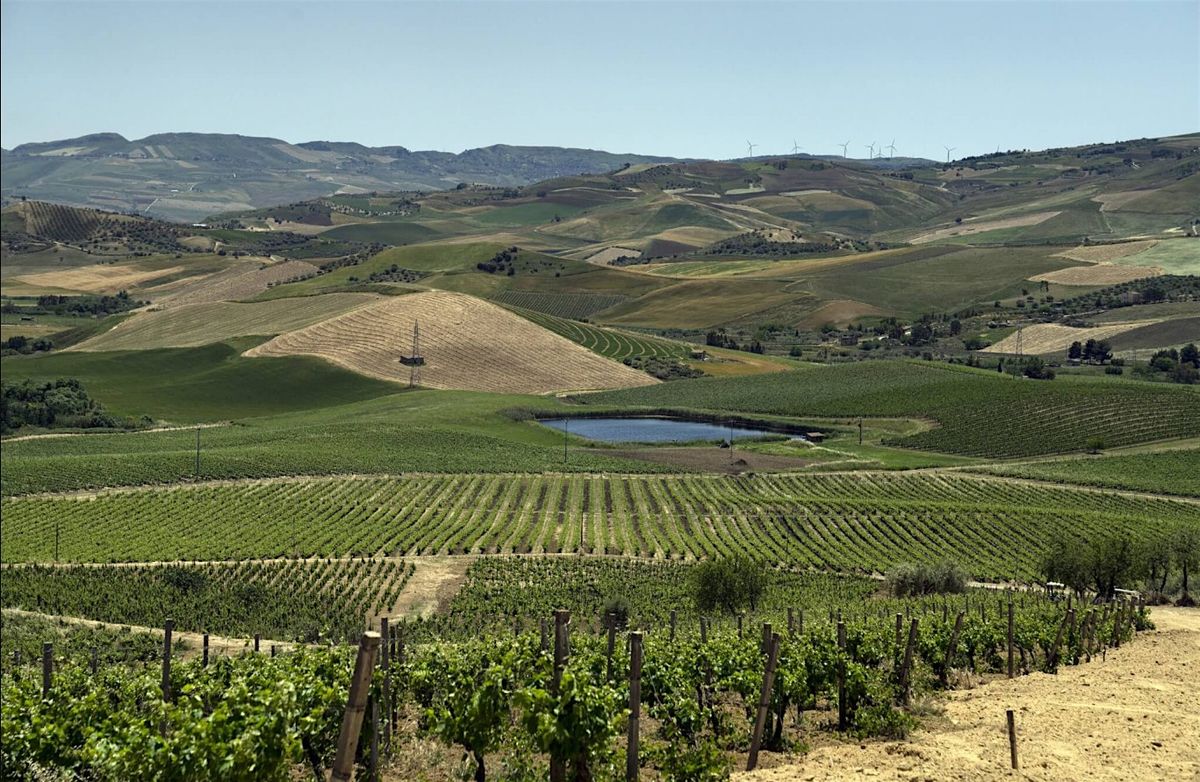 Sicilian Wines Class & Tasting, 15 May | Event in Queens | AllEvents