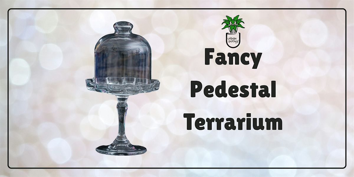 Fancy Pedestal Terrarium, 5 September | Event in Raleigh | AllEvents