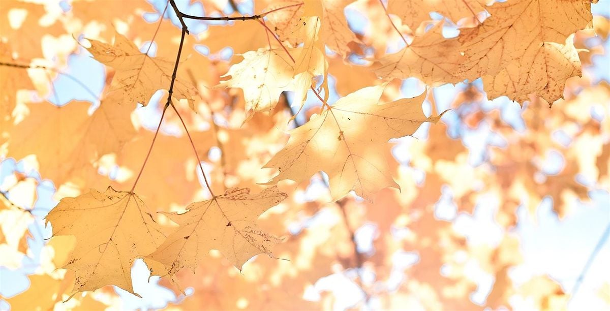 2025 HBA Fall Kickoff Party, 9 September | Event in Skokie | AllEvents