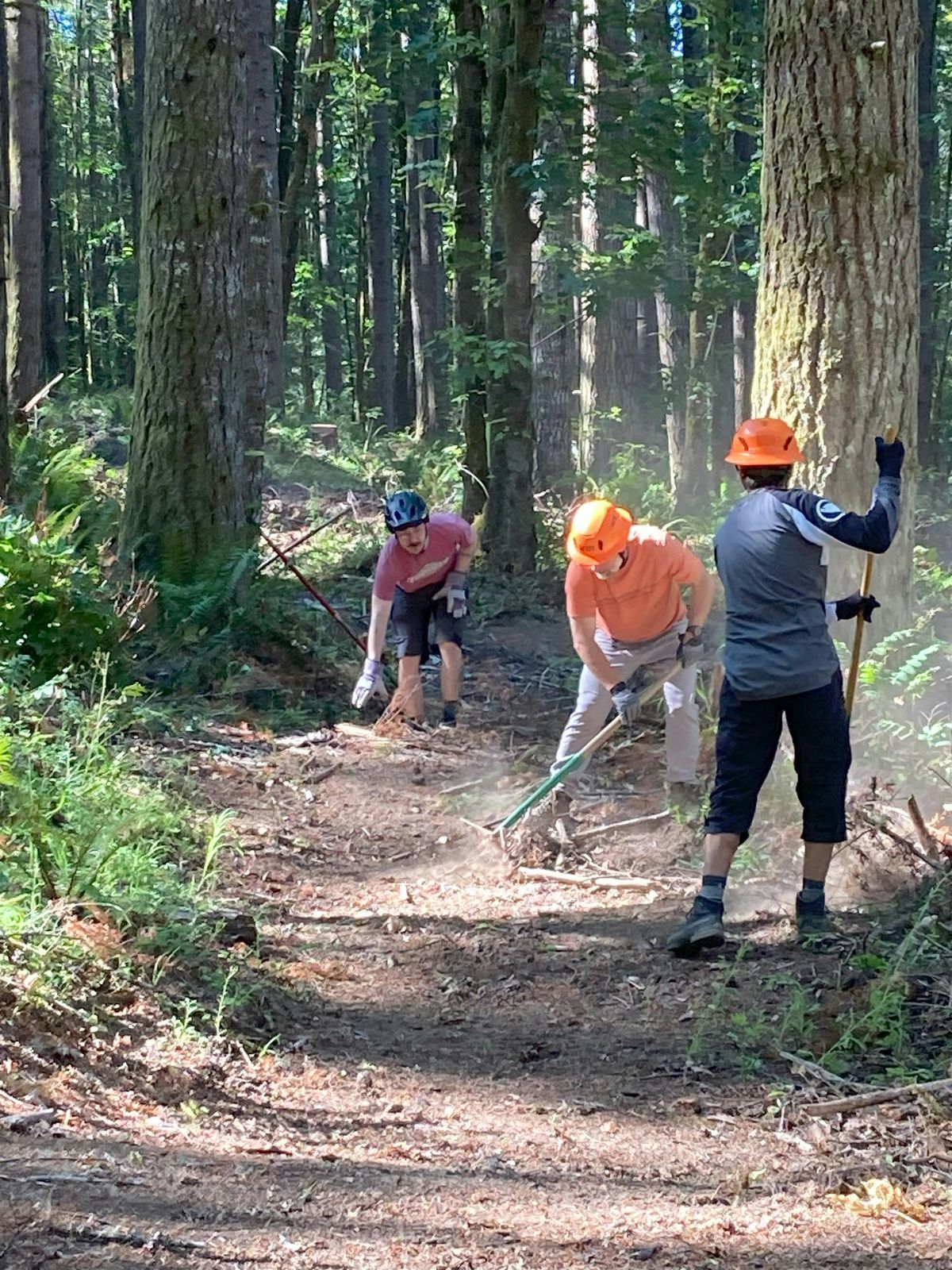 Stub Trail Restoration Day: 10/11, 11 October | Event in Buxton | AllEvents