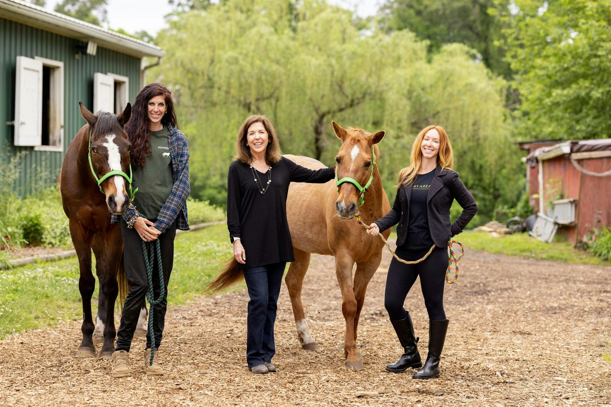 Meditation with Equines, 28 June | Event in Pasadena | AllEvents