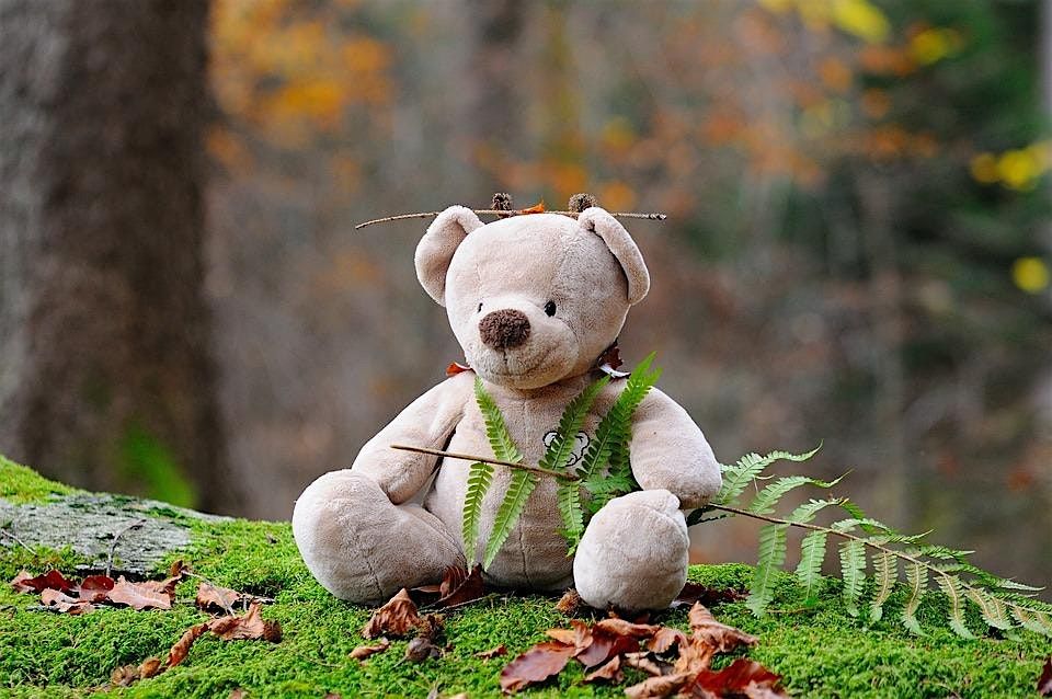 Teddy Bears Picnic, 11 May | Event in Biggin Hill | AllEvents