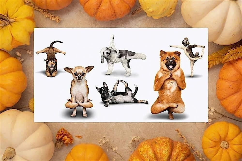 “Howl”-O-Ween Mutts & Zen, 25 October | Event in Ephrata | AllEvents