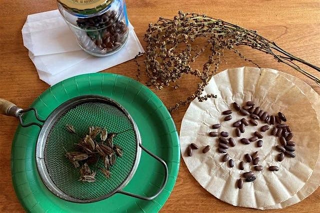 Seed Saving and Storing, 20 September | Event in Redmond | AllEvents