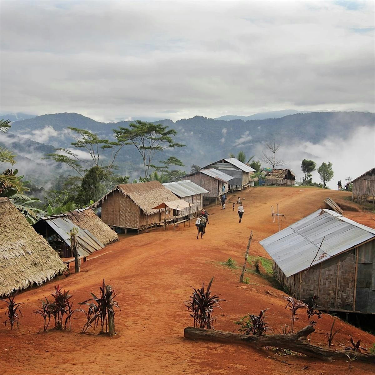 Trek the Kokoda Trail Info Session, 15 November | Event in Fortitude Valley | AllEvents