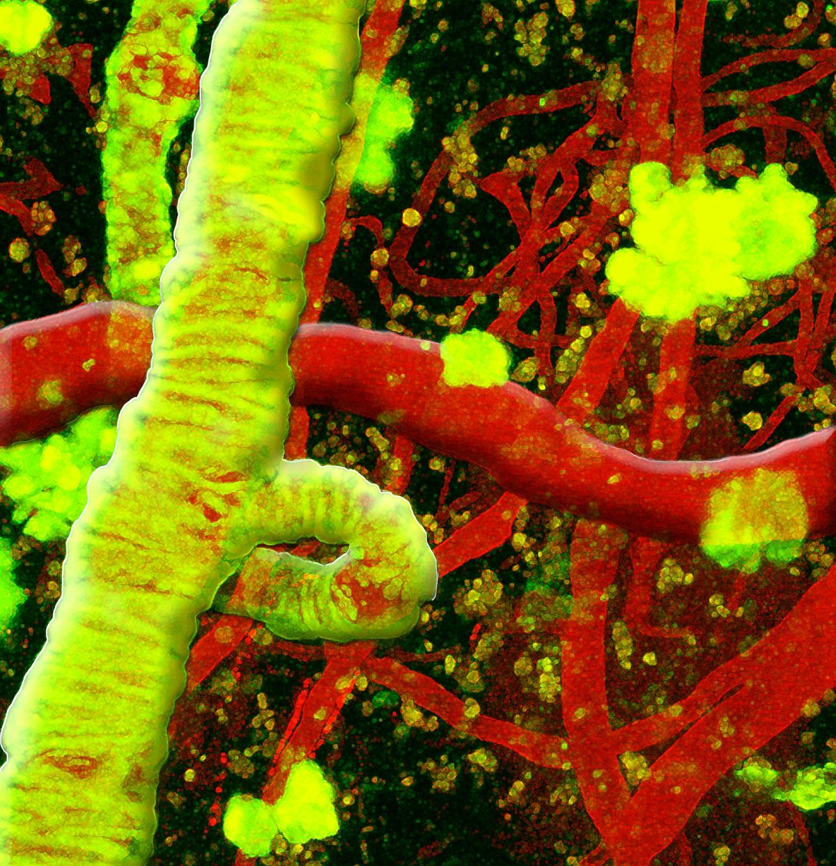 14th Annual Tufts Neuroscience Symposium & Shucart Lecture, 16 October | Event in Boston | AllEvents