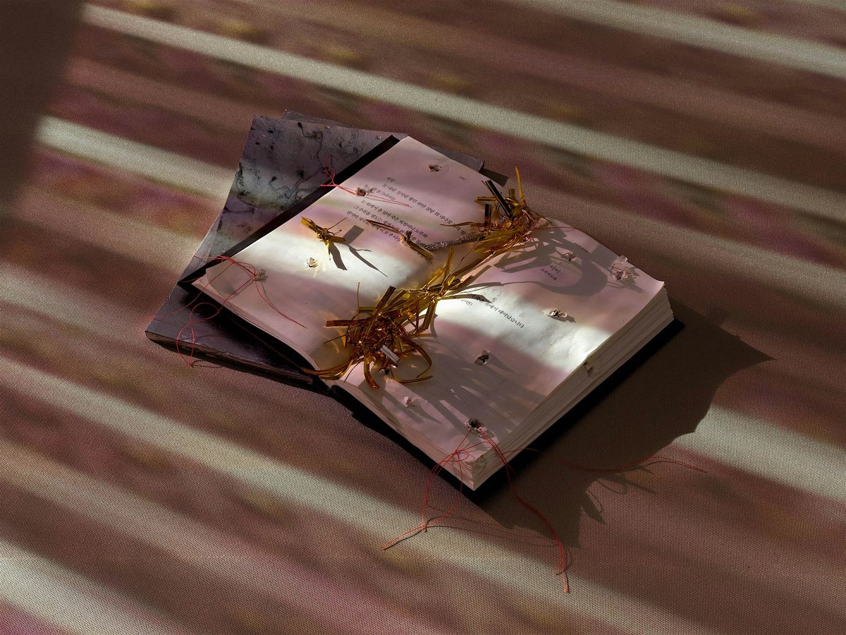 Lotus L. Kang: A Night of Poetry and Translation, 21 May | Event in New York | AllEvents