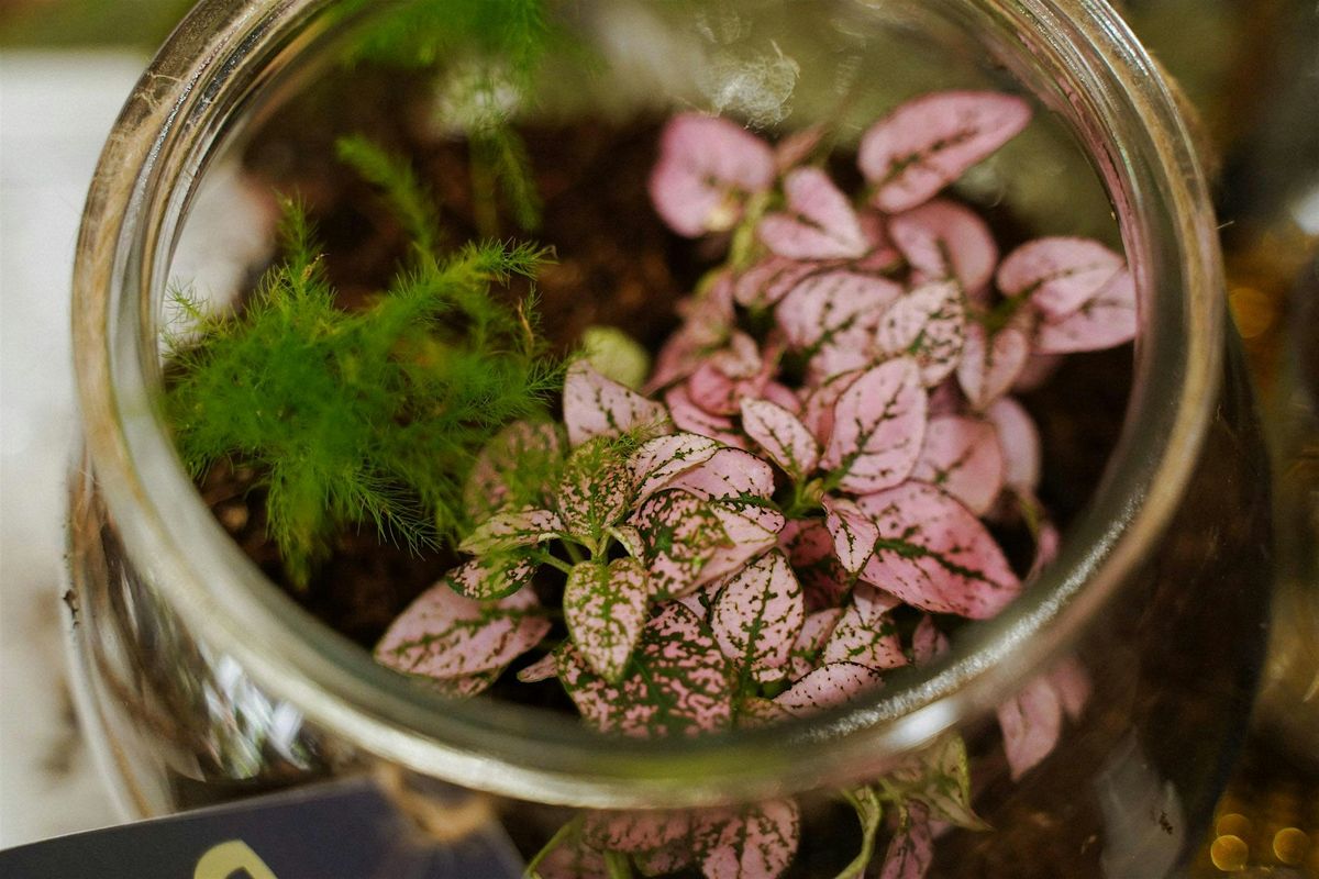 Mindful Terrarium Workshop, 27 May | Event in Oakland | AllEvents