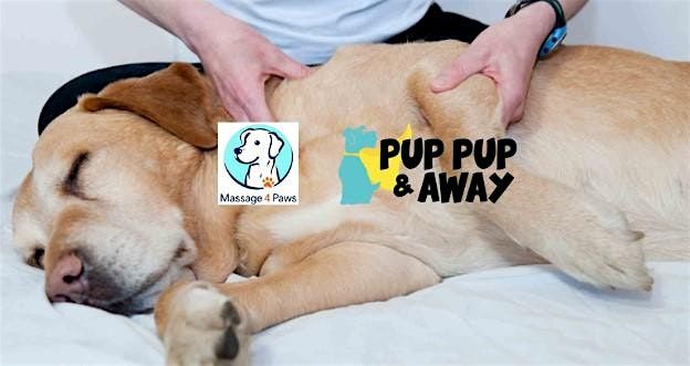 Canine Massage Workshop, 13 August | Event in San Antonio | AllEvents