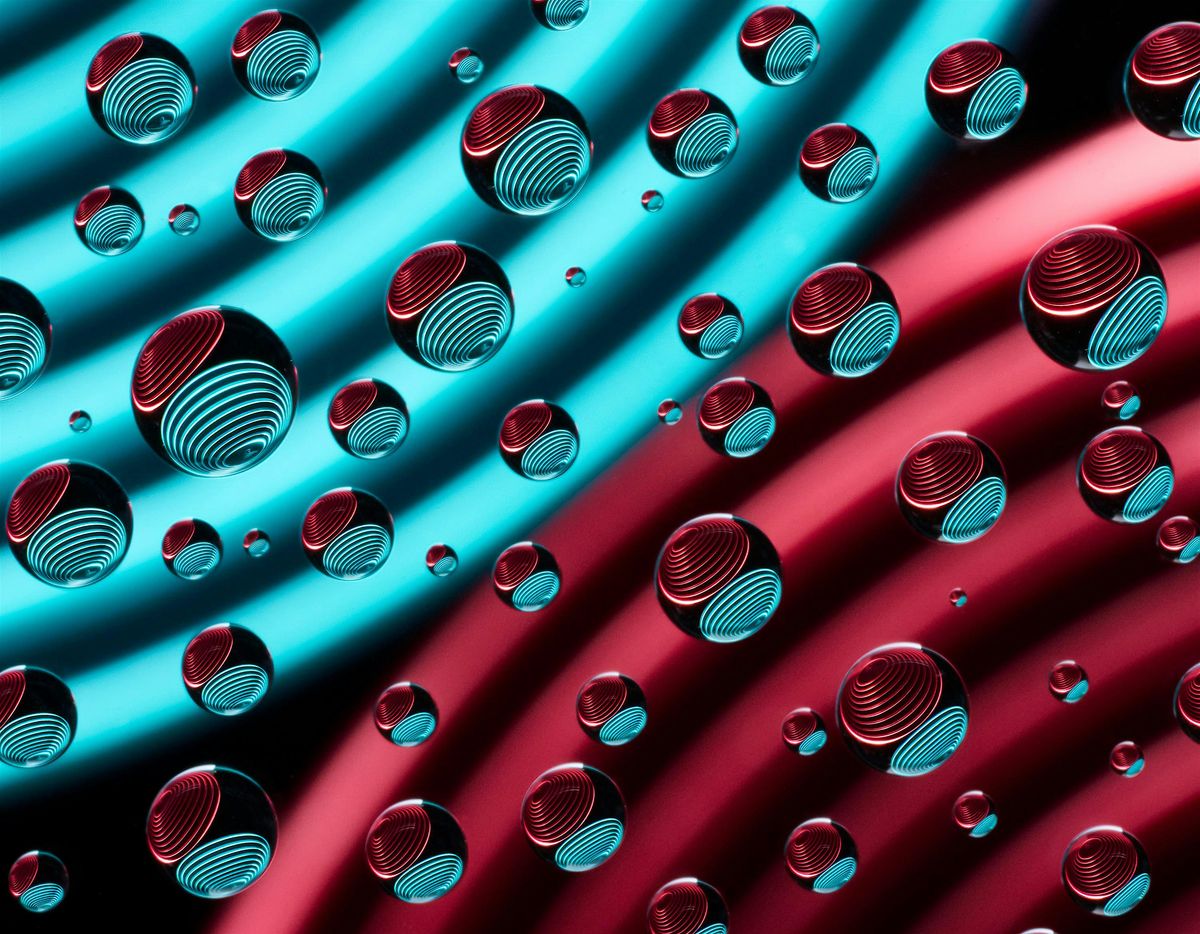 Tiny Frames:  Magnifying the World with a Macro Lens, 27 September | Event in Boulder | AllEvents