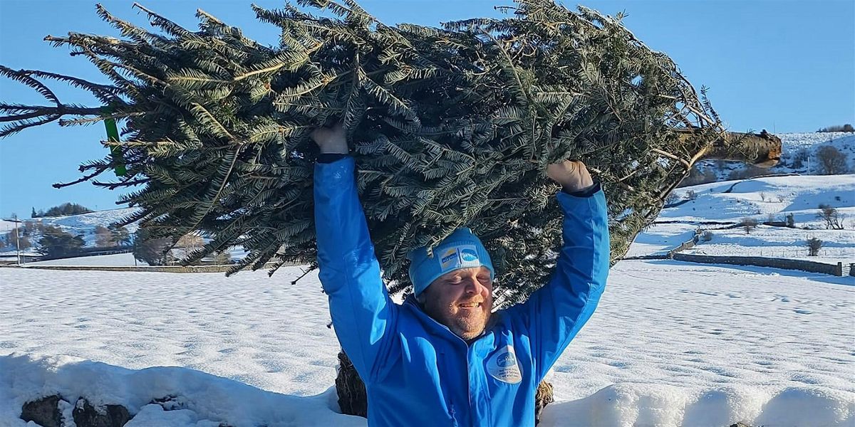 Sue Ryder Christmas Treecycling Airedale, Wharfedale, the Dales, 6 January | Event in Oxenhope | AllEvents