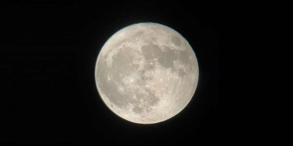 Full Moon Hike: “Flower Moon” | Event in Pleasantville | AllEvents