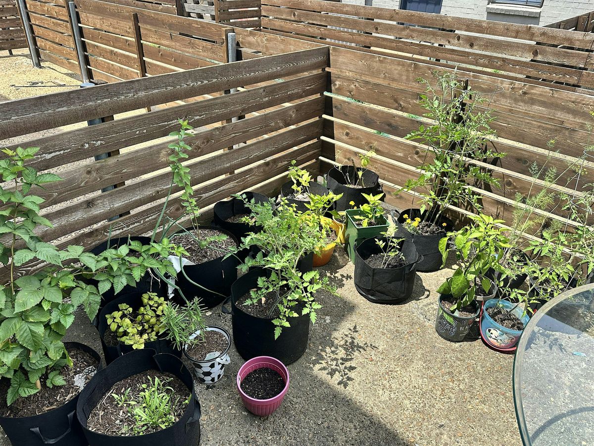 Plant It With Purpose: A Beginner’s Gardening Workshop, 17 August | Event in Memphis | AllEvents