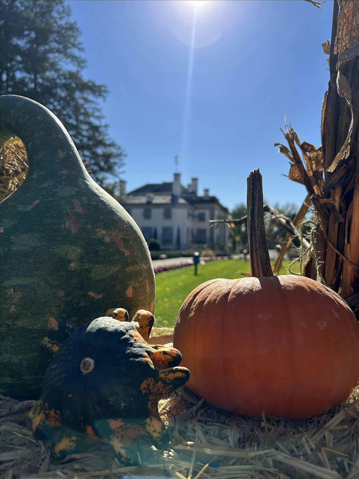 Family Program in the Mansion w/ DiAE, 10 October | Event in Wilmington | AllEvents