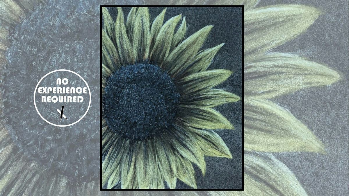Charcoal Drawing Event "Supportive Sunflower" in Stevens Point, 7 August | Event in Stevens Point