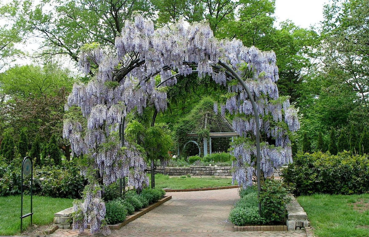 Evening Garden Stroll, 7 June | Event in Westerville | AllEvents