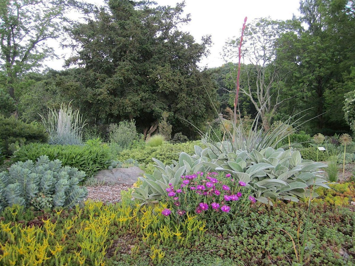Gardener's Workshop: Forms and Textures, 8 May | Event in Baltimore | AllEvents