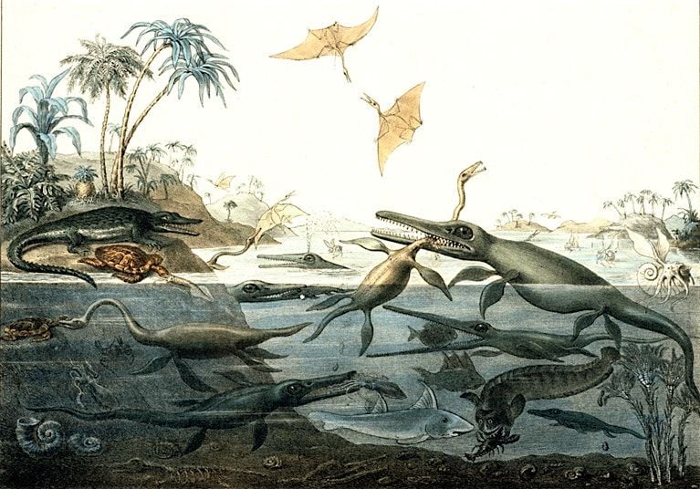 Paleontology: How the study of fossils became a modern science, 21 September | Event in Boise | AllEvents