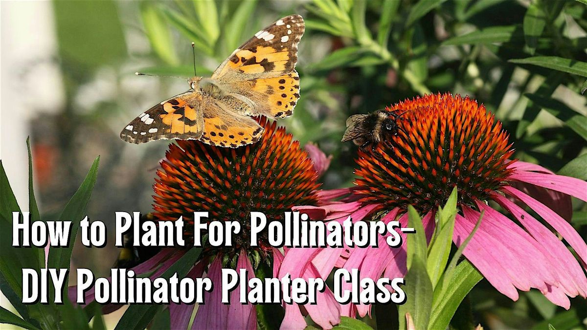 How to Plant for Pollinators- DIY Pollinator Planter Class, 28 June | Event in Ellendale | AllEvents