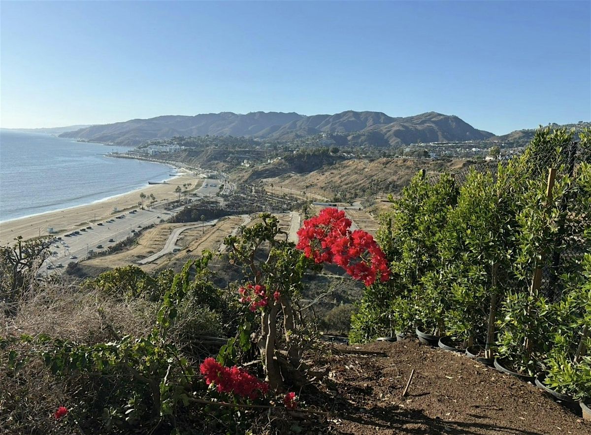 From Ruin to Resilience: Grief, Focus, and the Future We Choose, 8 January | Event in Los Angeles | AllEvents