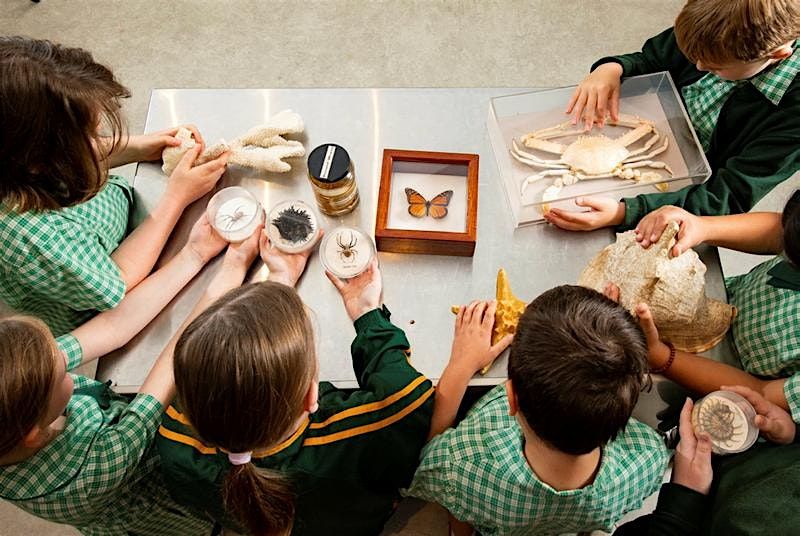 Science at the Museum - Lower Primary Online PD, 17 June | Online Event | AllEvents