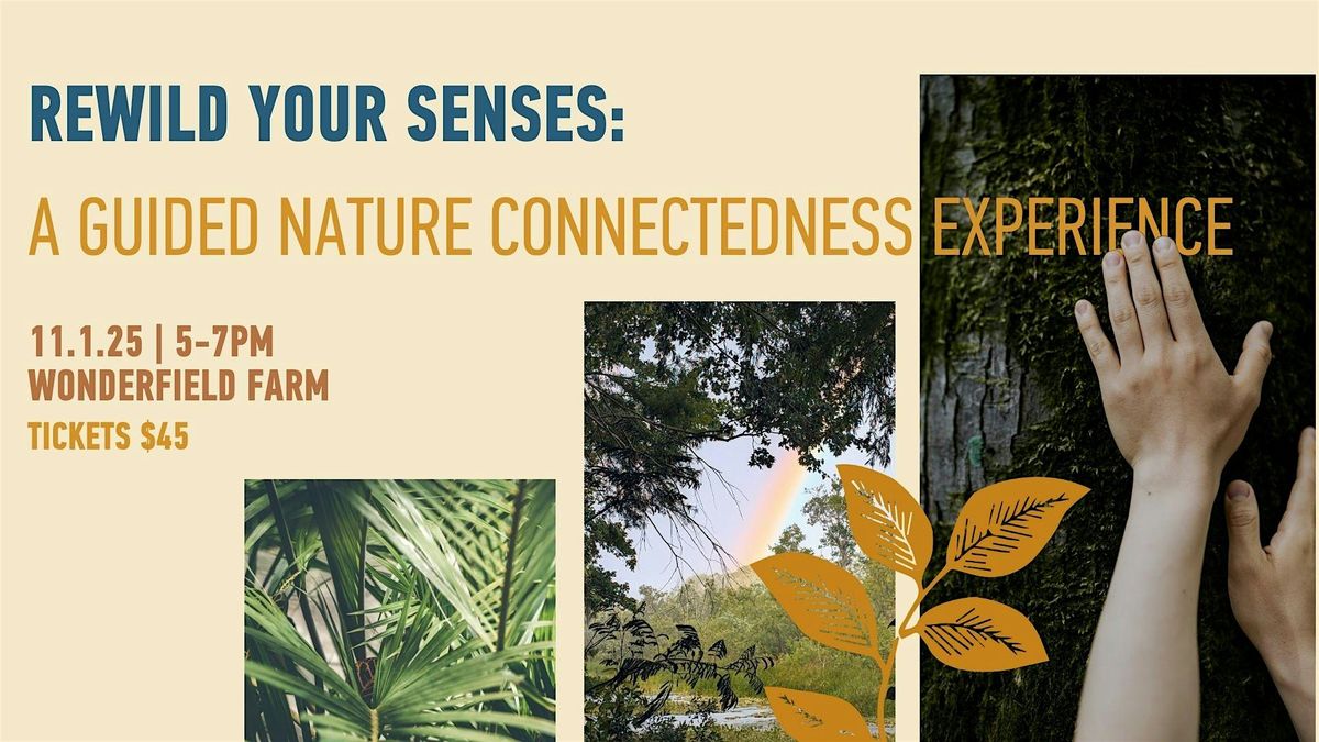Rewild Your Senses: A Guided Nature Connectedness Experience, 1 November | Event in Floral City | AllEvents