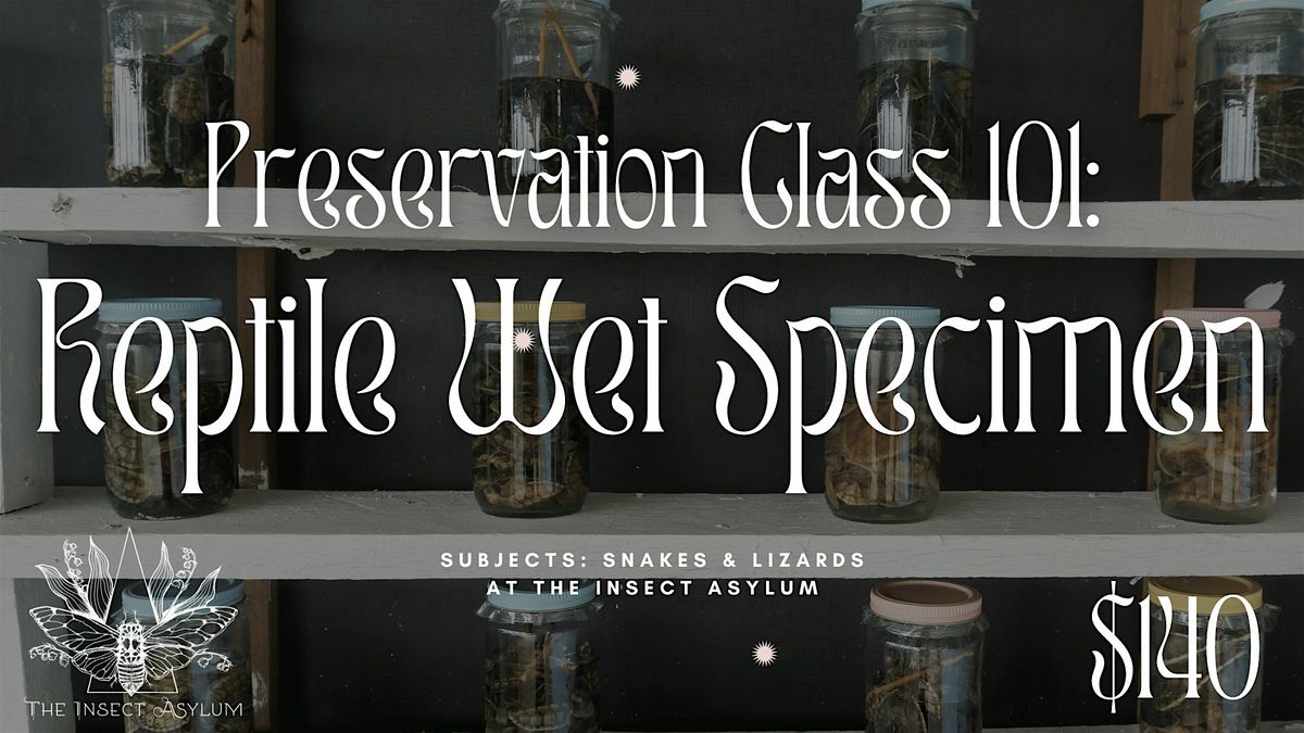 Lizards, Snakes & Science: Reptile Wet Specimen Workshop, 27 June | Event in chicago | AllEvents