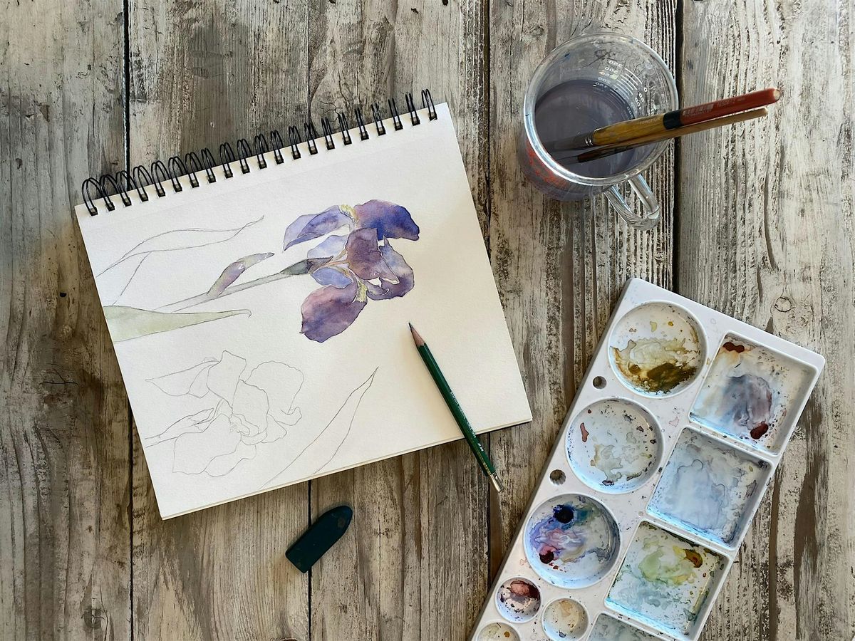 Intro to Watercolor | Painting Irises, 3 May | Event in Loomis | AllEvents