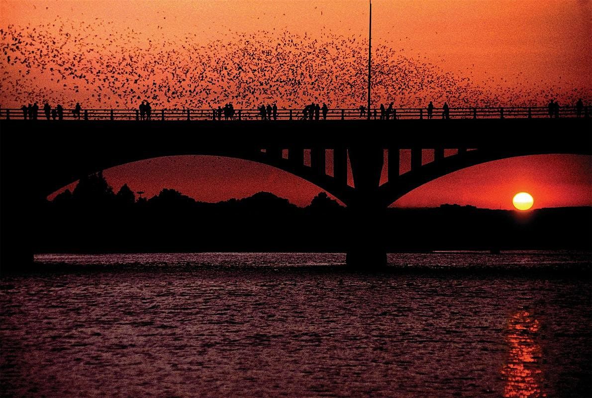 Bat City Tour: Nature Write & Walk, 19 October | Event in Austin | AllEvents