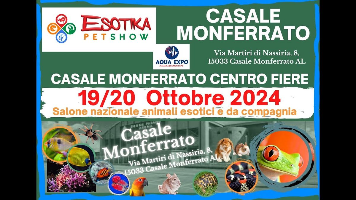 ESOTIKA PET SHOW - CASALE MONFERRATO 2025, 18 October | Event in Casale Monferrato | AllEvents
