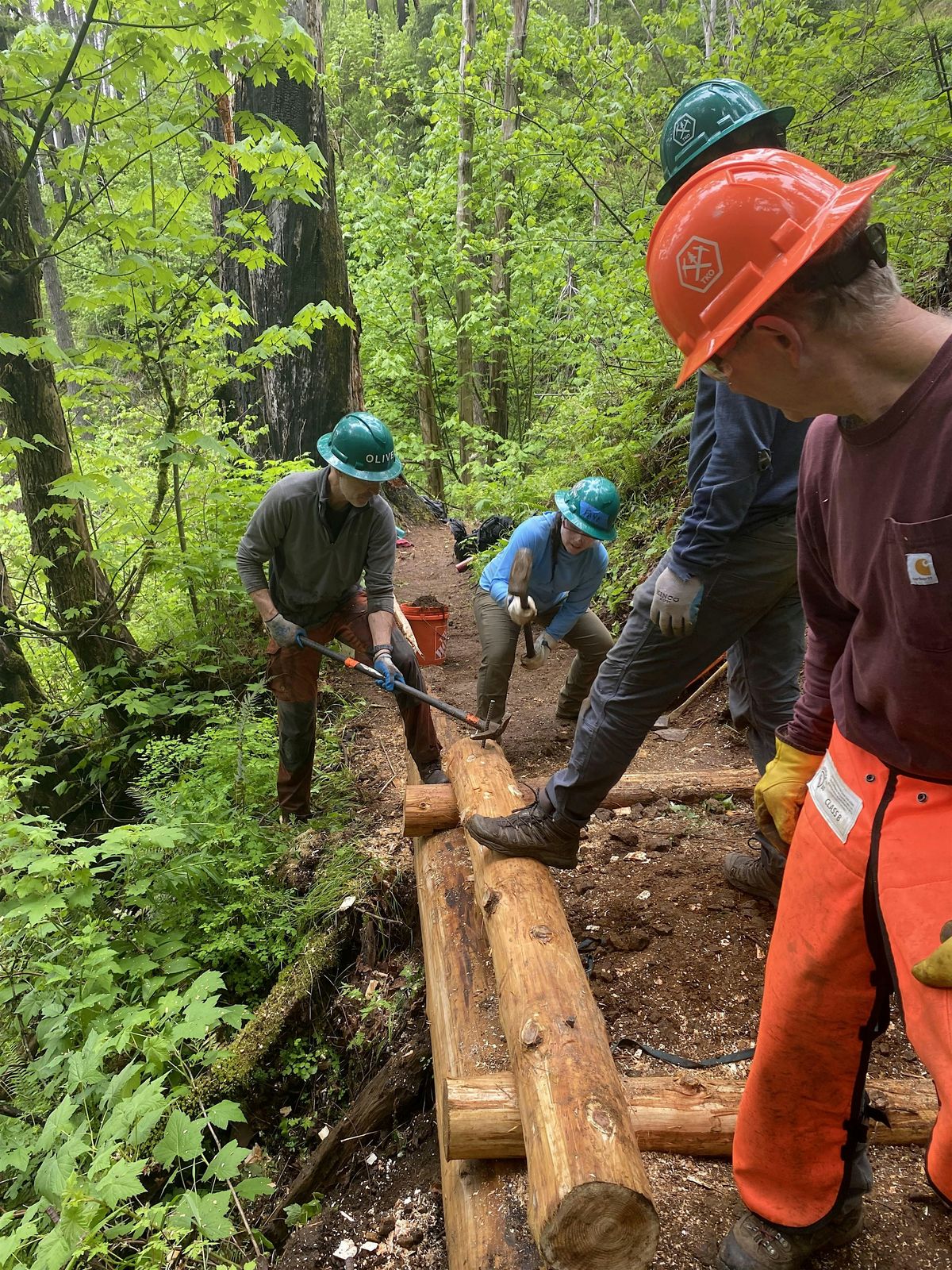 Wahkeena-Larch Loop Trail Party - Gorge, 1 July | Event in Troutdale | AllEvents