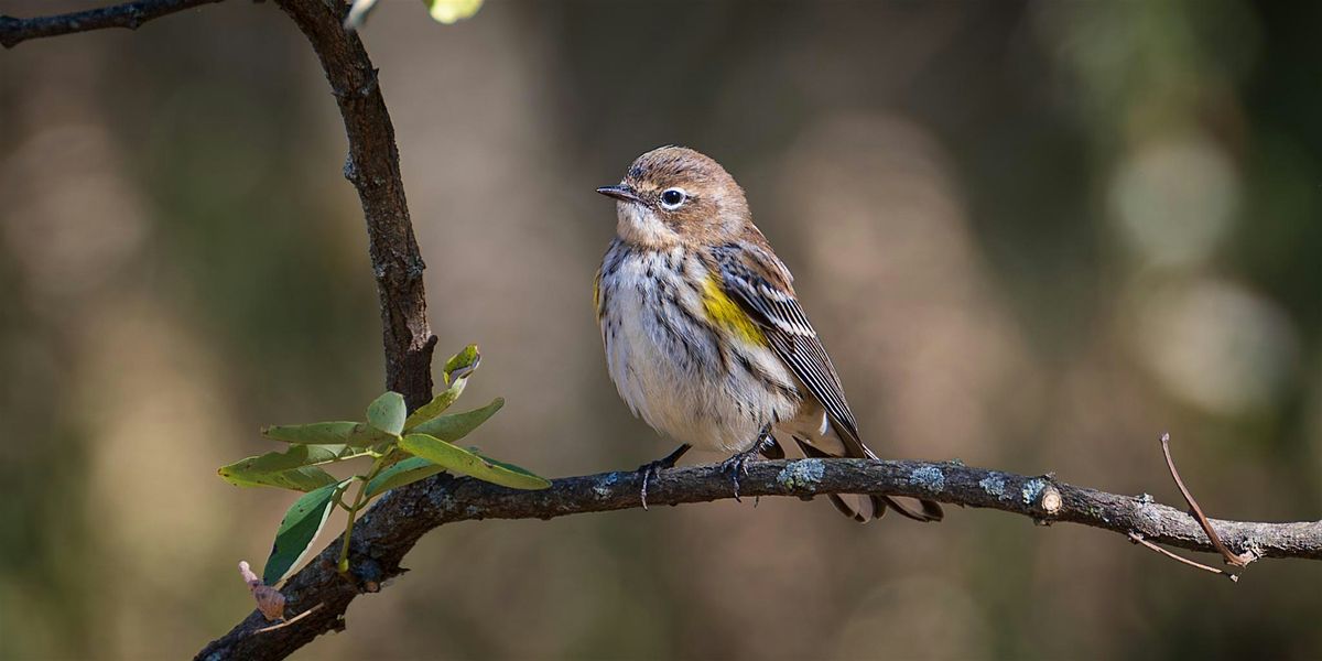 Introduction to Birding, 13 December | Event in Lafayette Hill | AllEvents