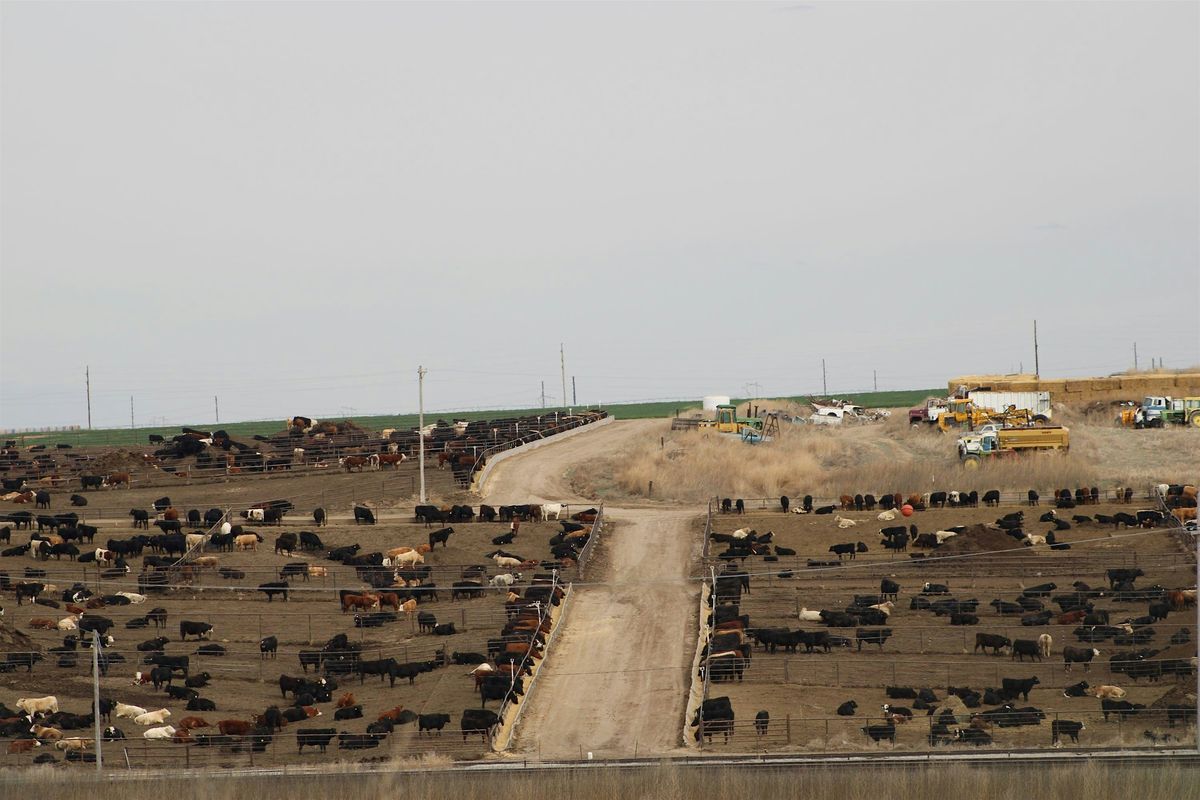 Awesome Scavenger Hunt - Dodge City‘s Dazzling Scavenger Dash | Event in Dodge City | AllEvents