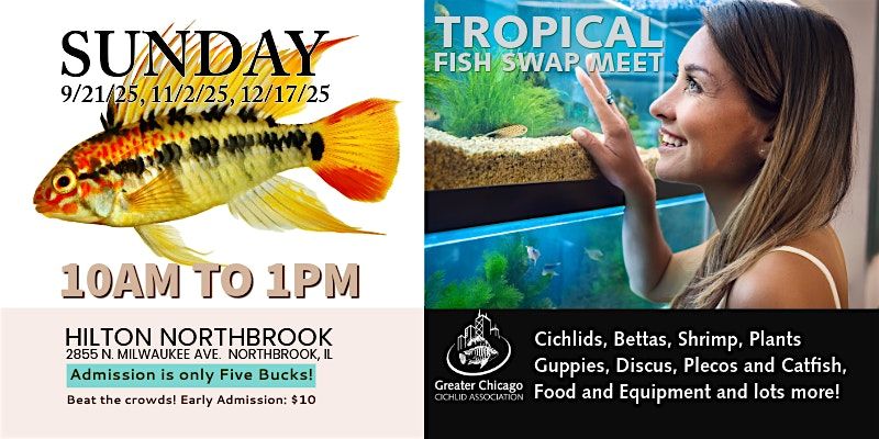 GCCA - Tropical Fish Swap (Over 100 tables & thousands of freshwater fish), 2 November | Event in Northbrook