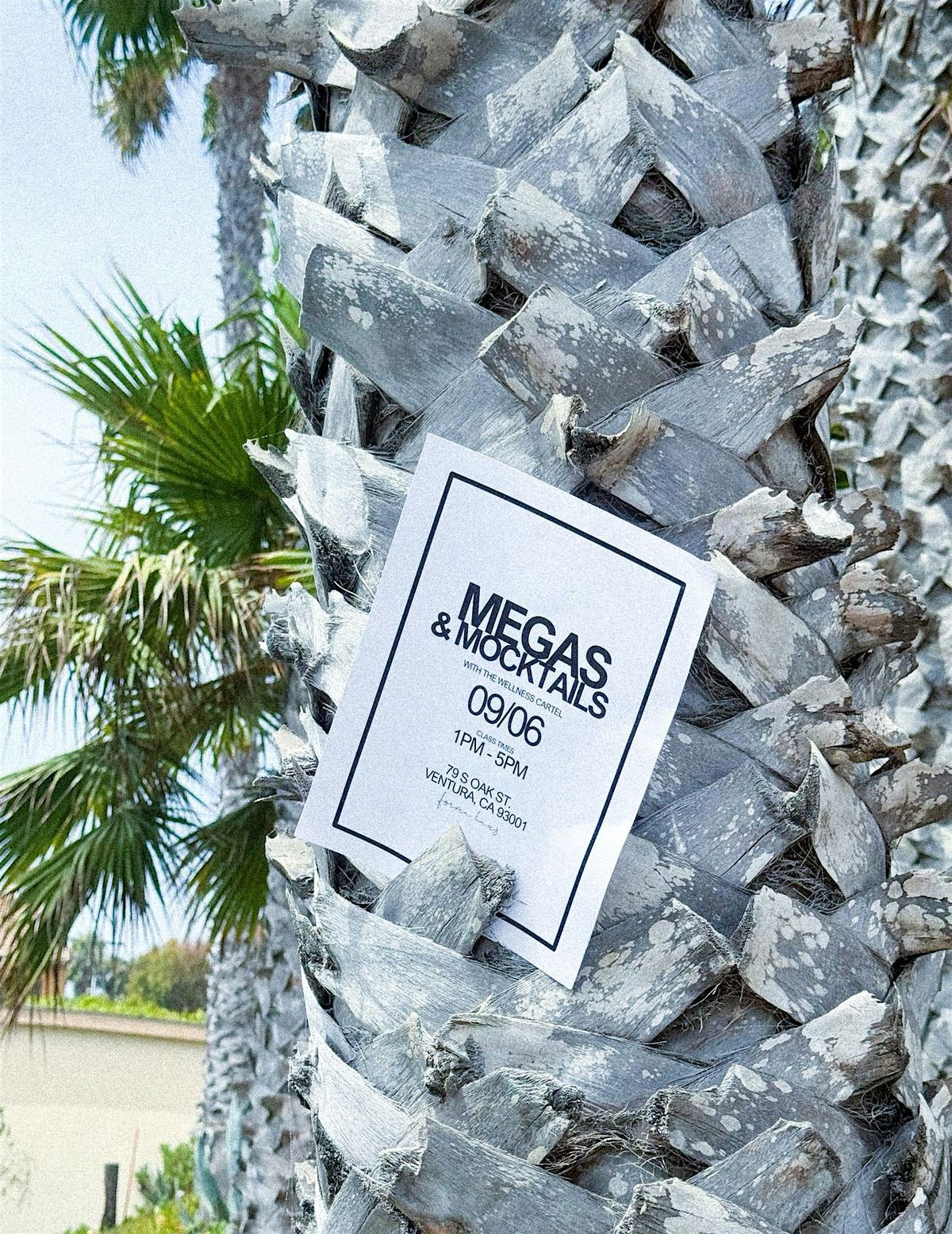 Megas & Mocktails, 6 September | Event in Ventura | AllEvents