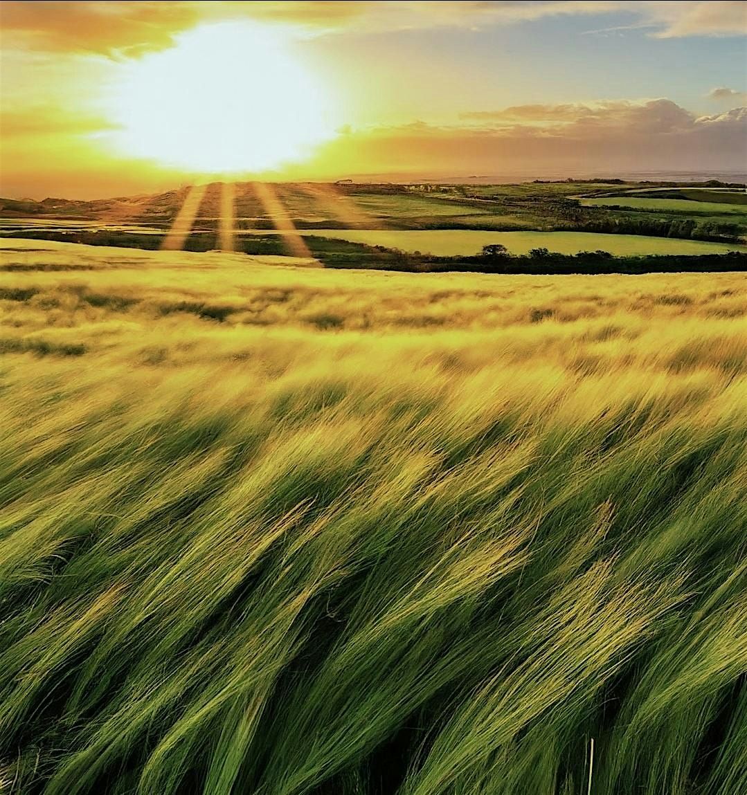 Lughnasadh (Lammas) Ritual, 2 August | Event in Carrollton | AllEvents
