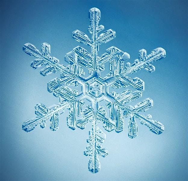 Lithia Christmas Party, 6 December | Event in Albany | AllEvents