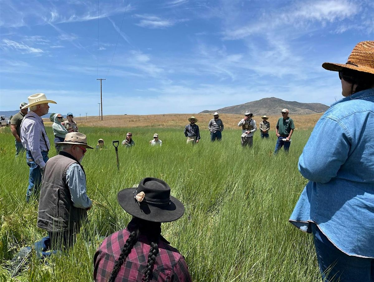 How to Plan Grazing for Healthy Land and Livestock, 29 August | Event in Templeton | AllEvents
