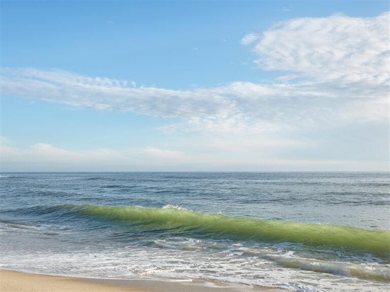Wine tasting new and old world with art talk, 11 October | Event in Nantucket | AllEvents