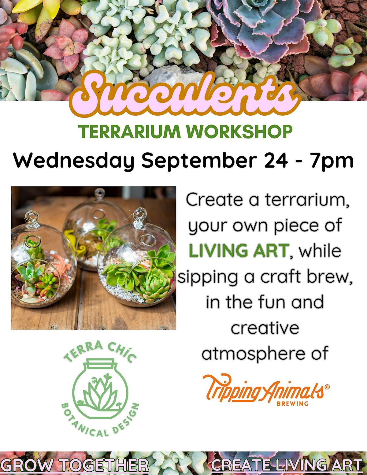 Succulents Terrarium Workshop at Tripping Animals  - Plant and Sip, 24 September | Event in Oakland Park | AllEvents