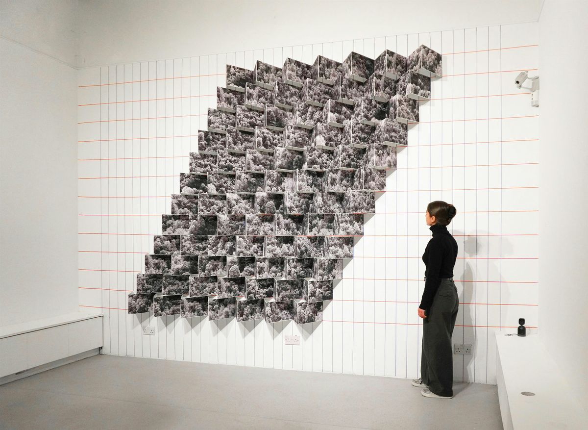 A walk through 'Landscapes Seen from Everywhere', 11 October | Event in London | AllEvents