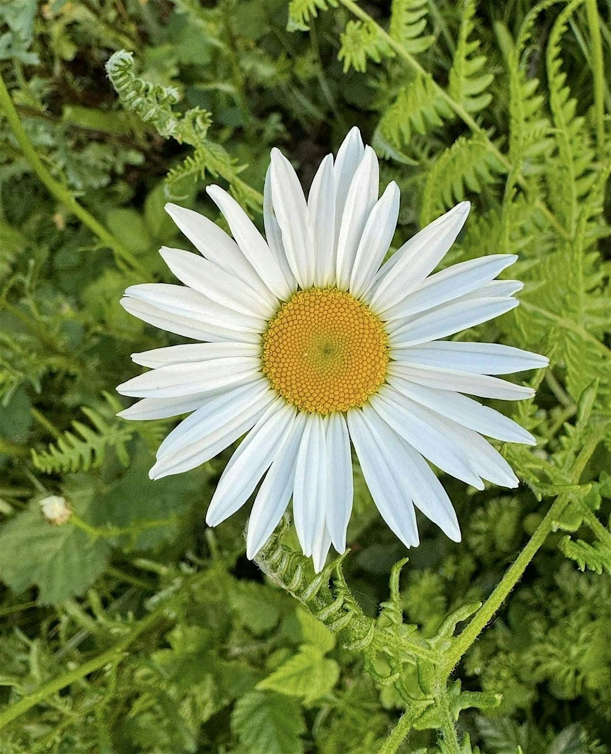 WOMEN'S DAY RETREAT: Washougal River Valley, 24 May | Event in Washougal | AllEvents