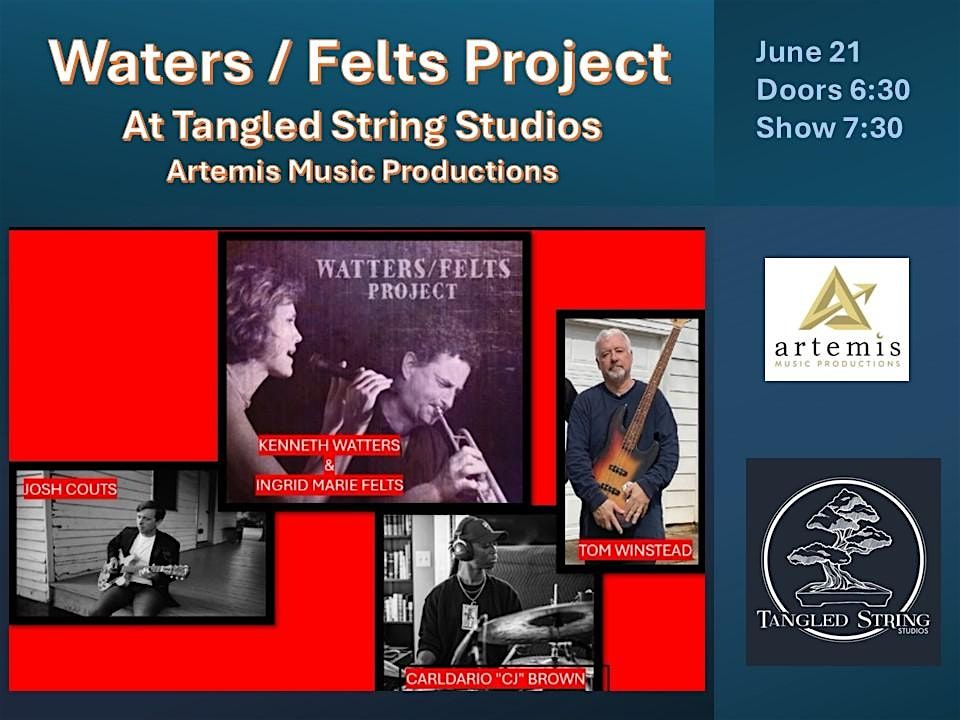 Watters Felts Project at Tangled String Studios, 21 June | Event in Huntsville | AllEvents