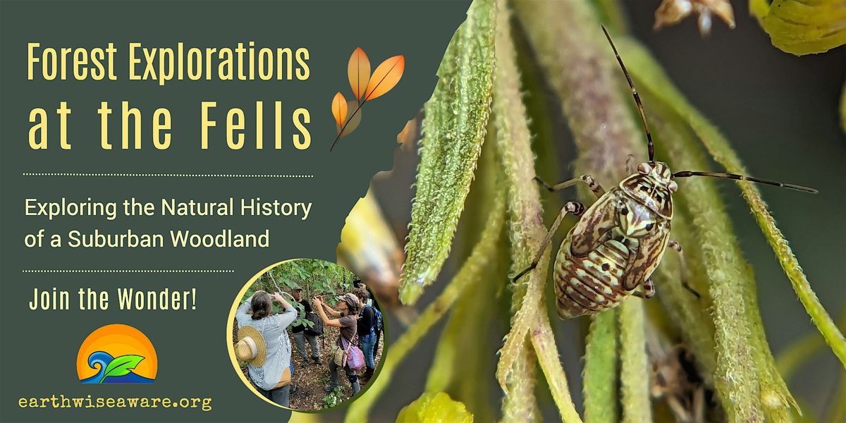 Fall Forest Explorations, 11 October | Event in Stoneham | AllEvents