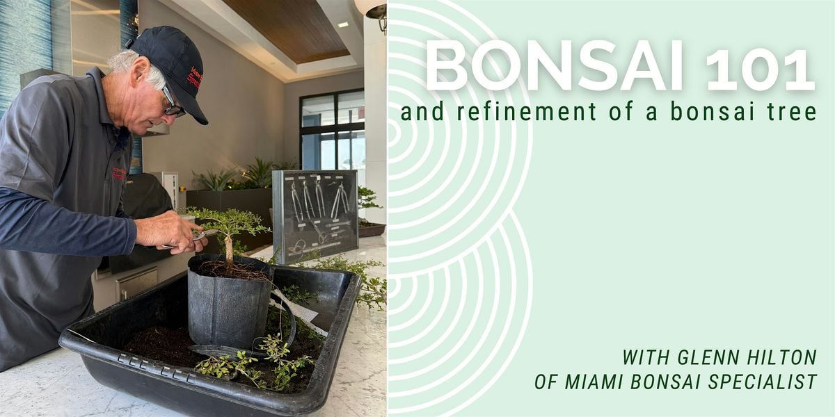 Bonsai 101 & Refinement of a Bonsai Tree, 28 June | Event in Miami Beach | AllEvents