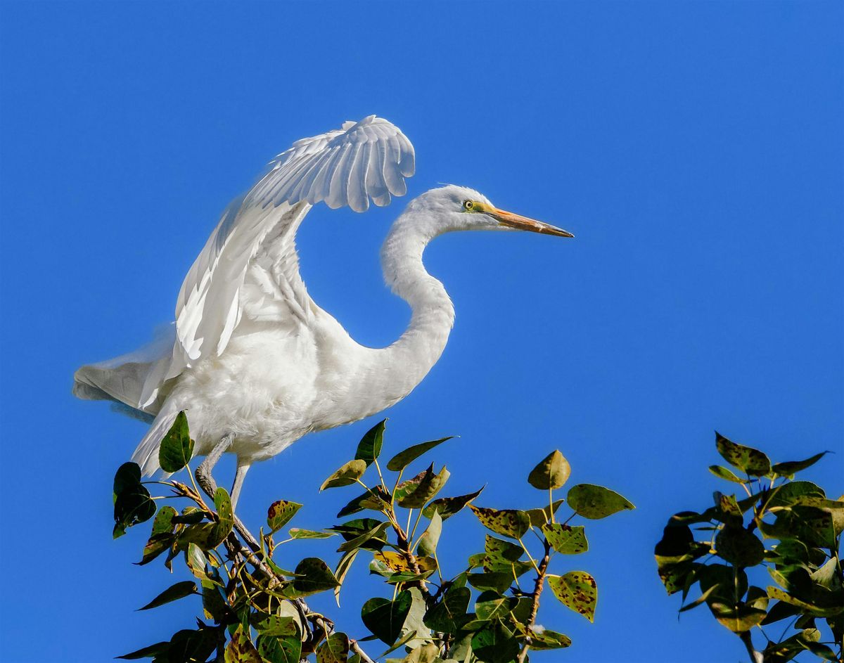 Blacks Creek Birding Hike, 19 September | Event in Kuna | AllEvents