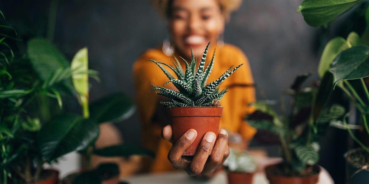 Houseplant Essentials | Event in Atlanta, Charlotte | AllEvents