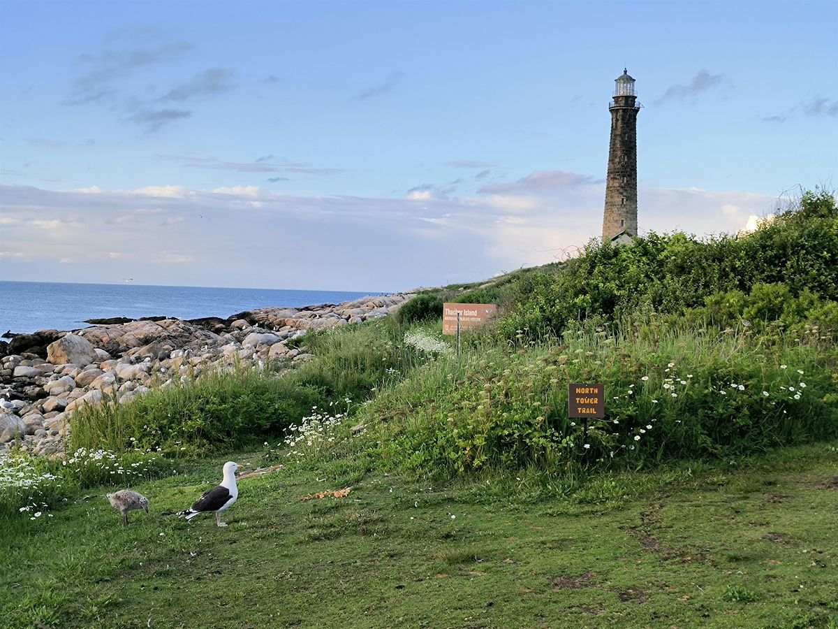 Tuesday Boat Tours to Thacher Island 2025, 24 June | Event in Rockport | AllEvents